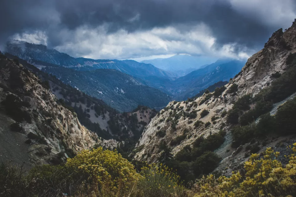 Angeles National Forest